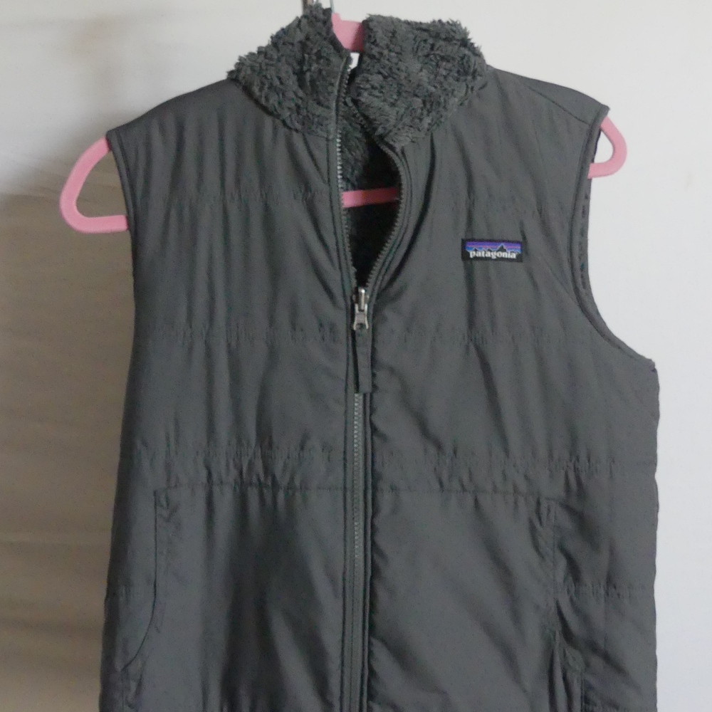 Reversible Patagonia Vest